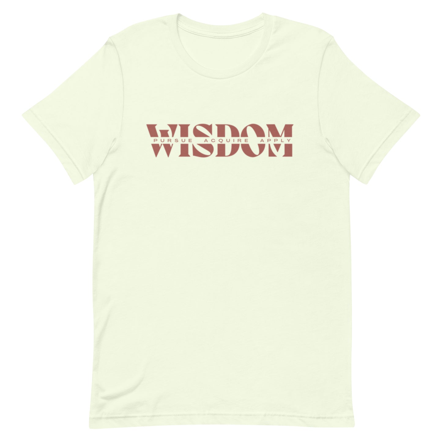 Wisdom—Acquire + Apply t-shirt