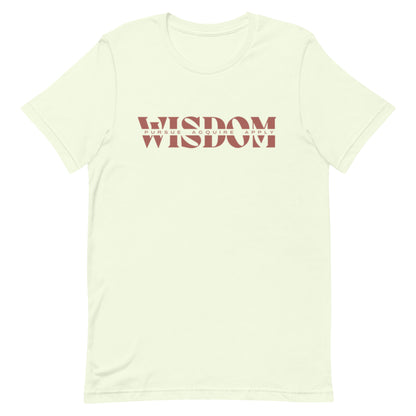 Wisdom—Acquire + Apply t-shirt
