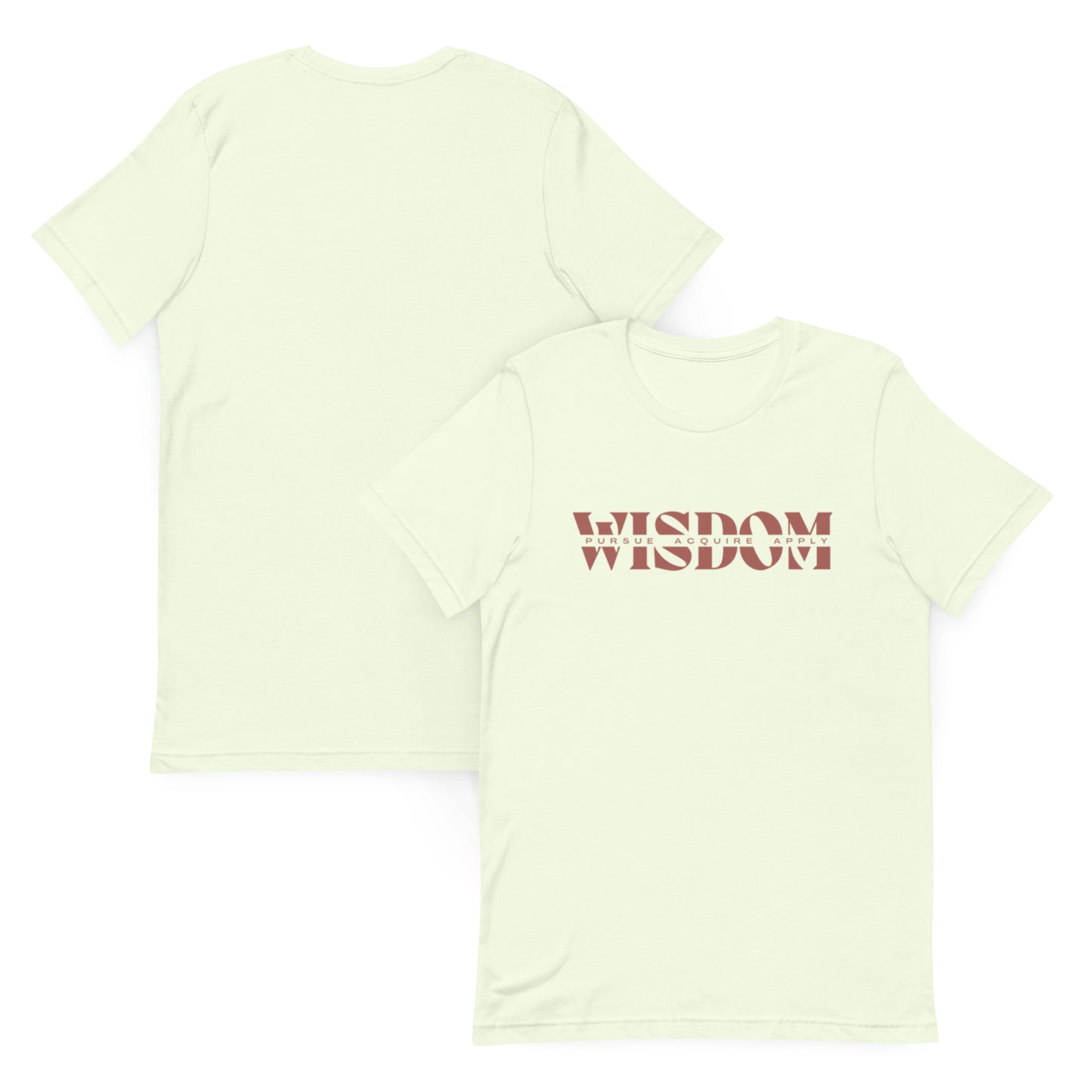 Wisdom—Acquire + Apply t-shirt