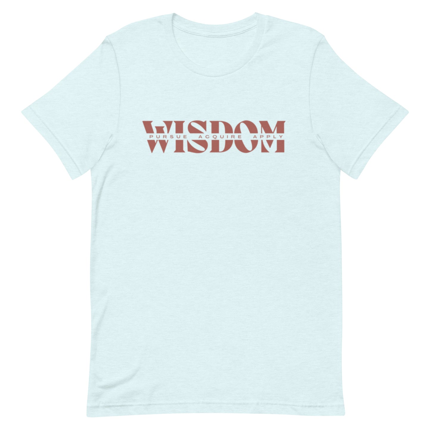 Wisdom—Acquire + Apply t-shirt