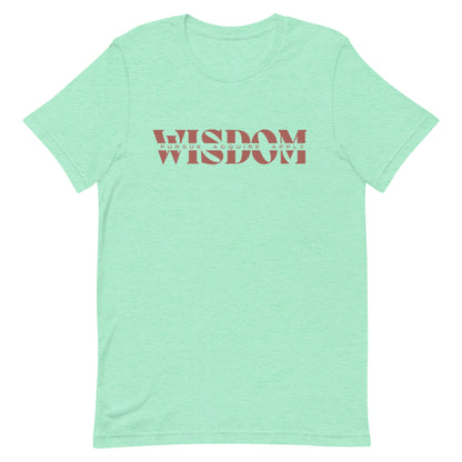 Wisdom—Acquire + Apply t-shirt
