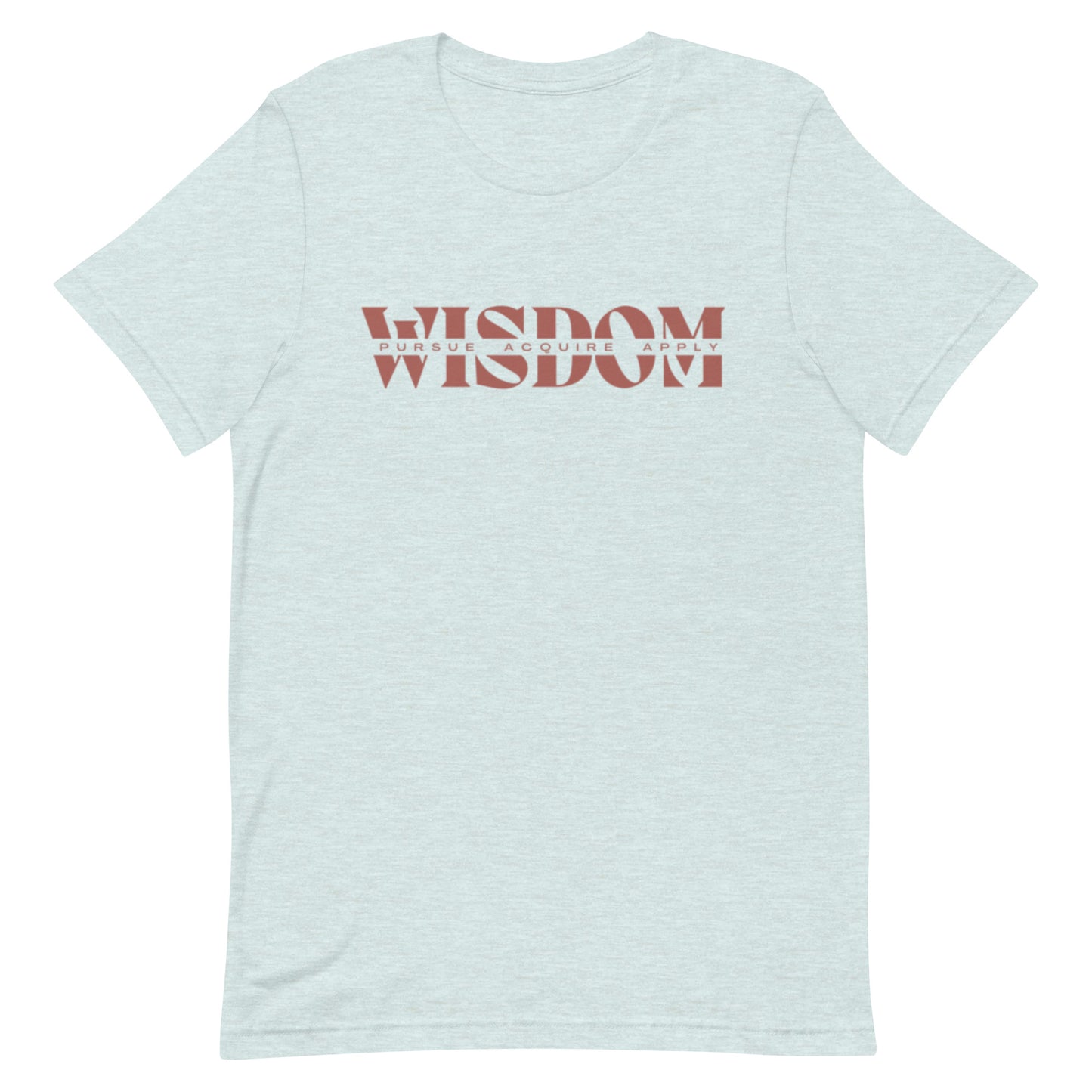 Wisdom—Acquire + Apply t-shirt