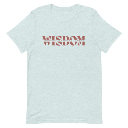 Wisdom—Acquire + Apply t-shirt