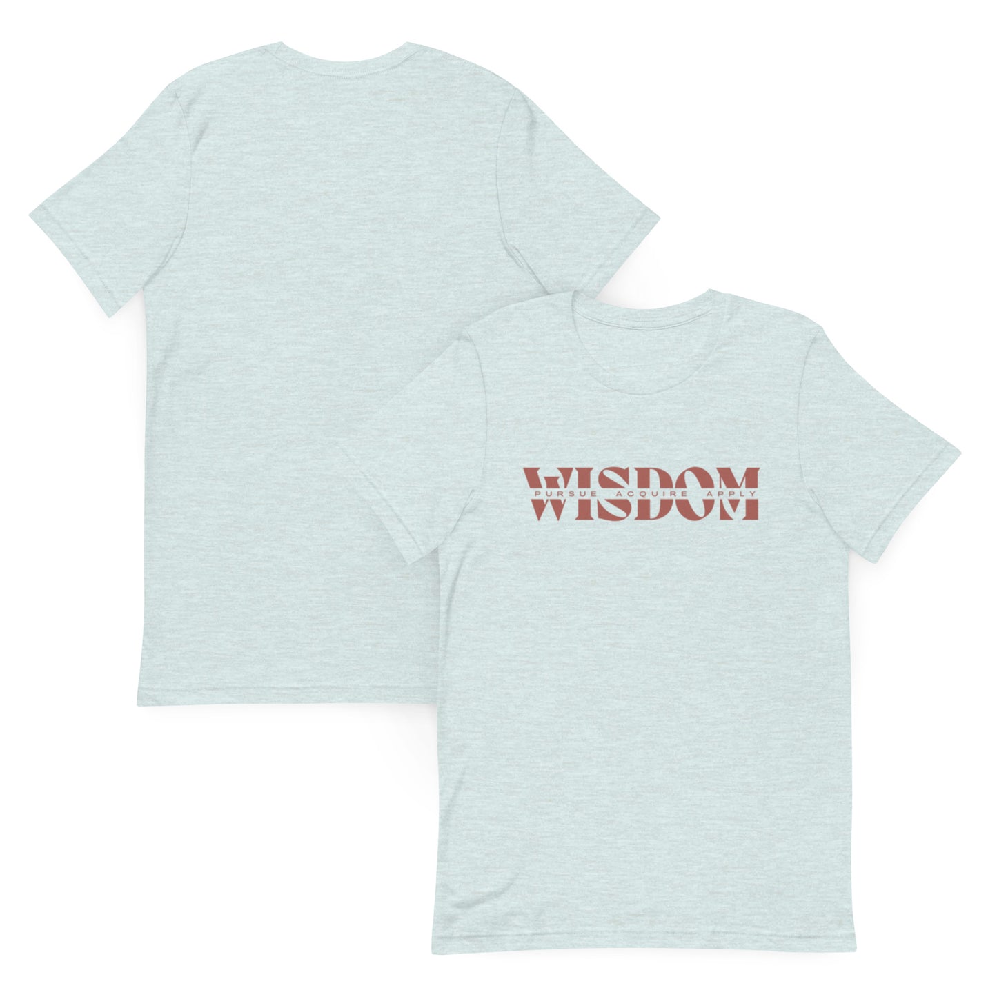 Wisdom—Acquire + Apply t-shirt