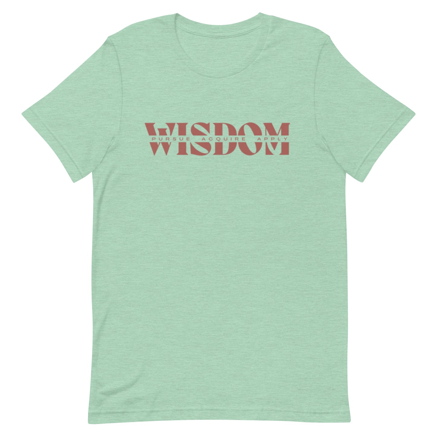 Wisdom—Acquire + Apply t-shirt