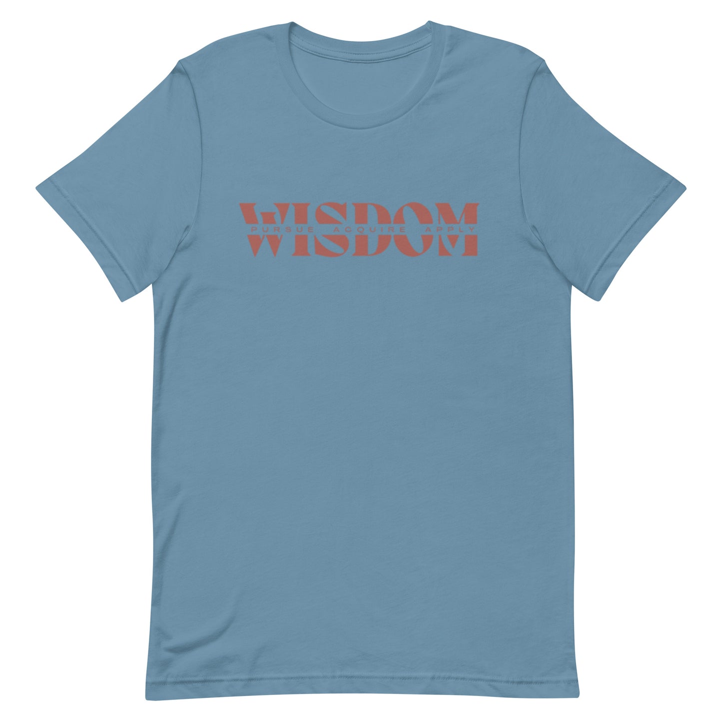 Wisdom—Acquire + Apply t-shirt
