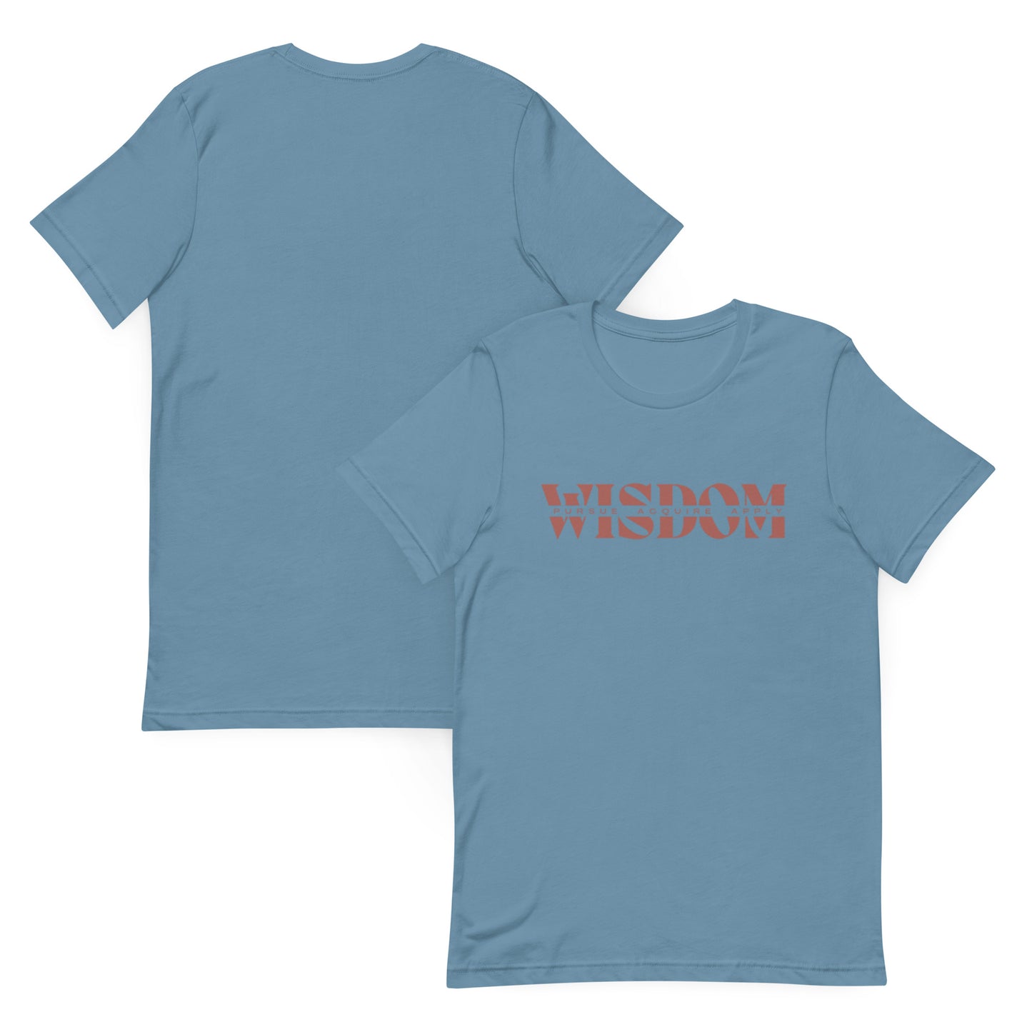 Wisdom—Acquire + Apply t-shirt