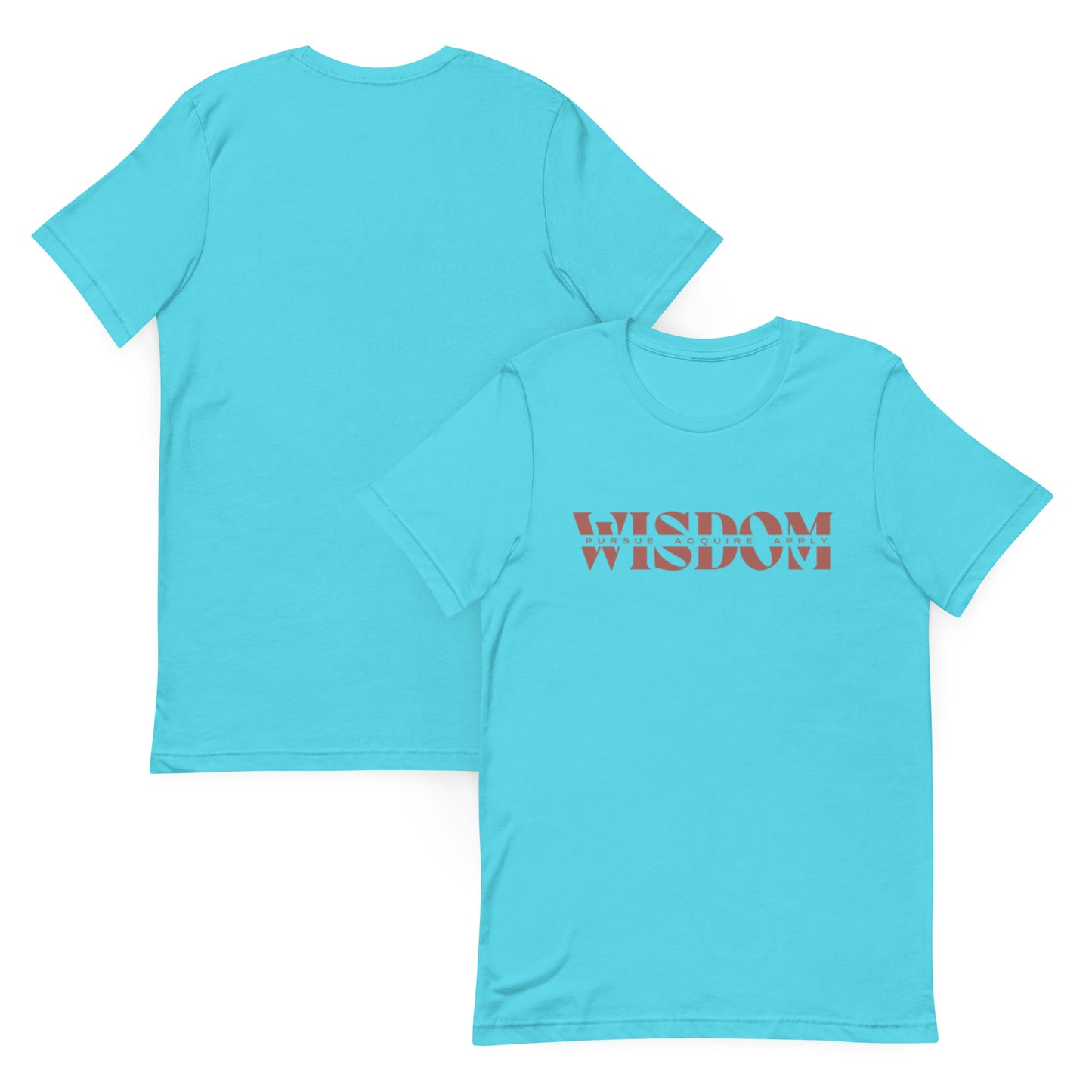 Wisdom—Acquire + Apply t-shirt